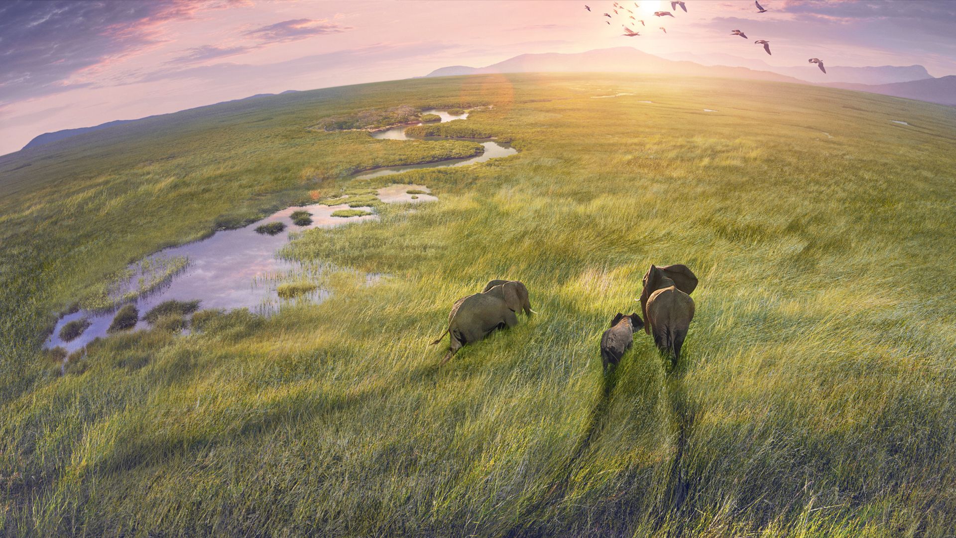 BBC Studios Creative